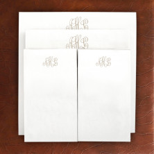 Designer Memo Refills - 13-Taupe Damask