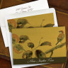 Autumn Bird Notes
