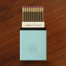 Lizard Robin's Egg Blue Pencil Cup w/Personalized Paper