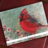 Woodland Cardinal Note Cards - Beth Clary Schwier